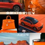 30万预算豪华插混SUV横评：全新XT5 PHEV与三款热门车型怎么选