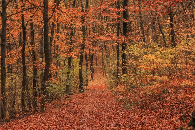 大理网红酒店怎么选？亲测10家，顶奢/设计/悬崖一次说清+FAQ