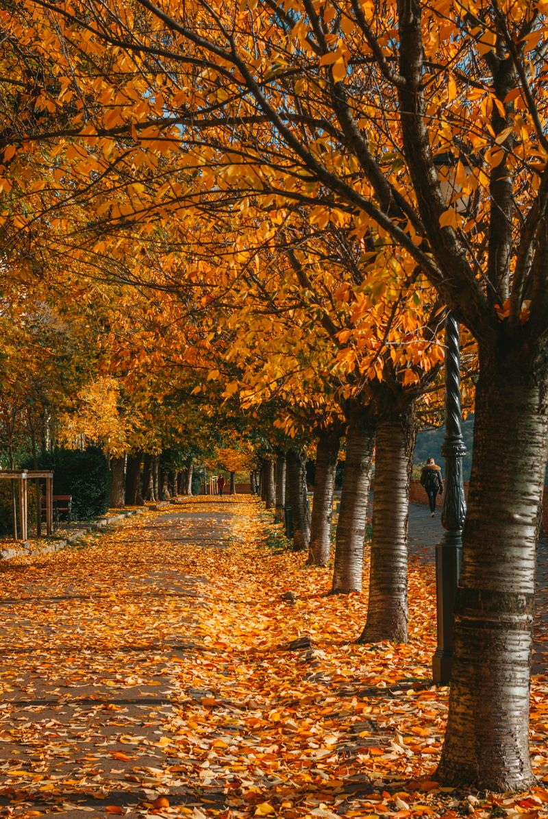 去桂林机票价格走势：10月15日分水岭已确认？3个维度说清+FAQ