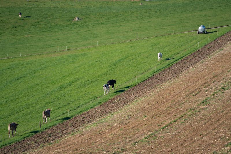 暑假拍照主题路线怎么选?3大派系+分人群答案说清+FAQ