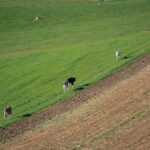 7月初避暑去哪？官方16条路线藏着答案，照着选就对了+FAQ